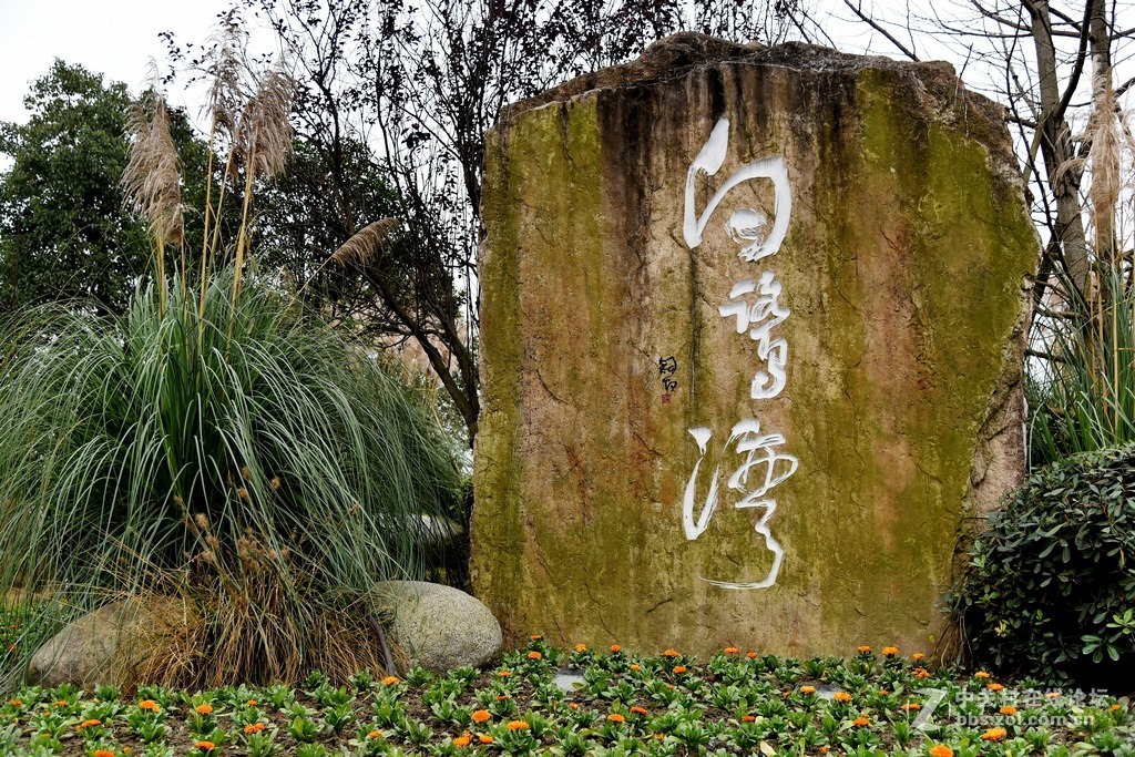 白鹭湾湿地
