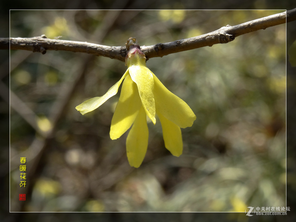 在2017的春天里（3）