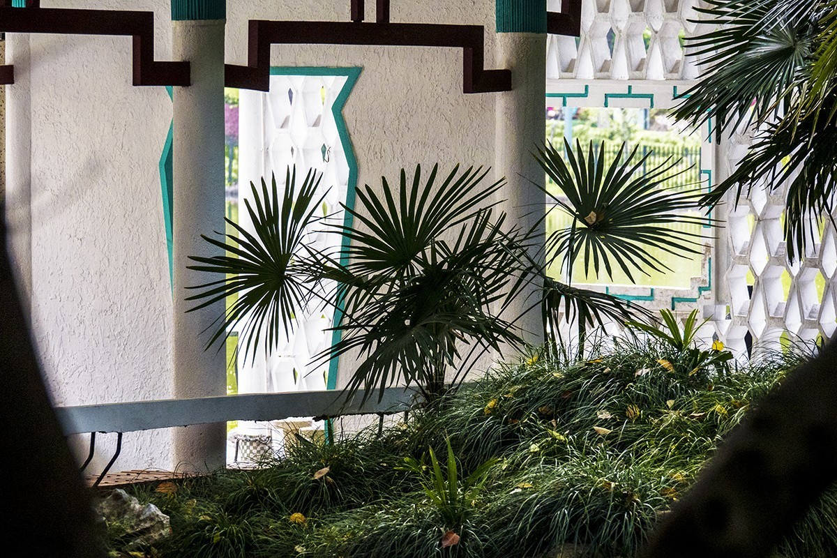 花园小景（一）