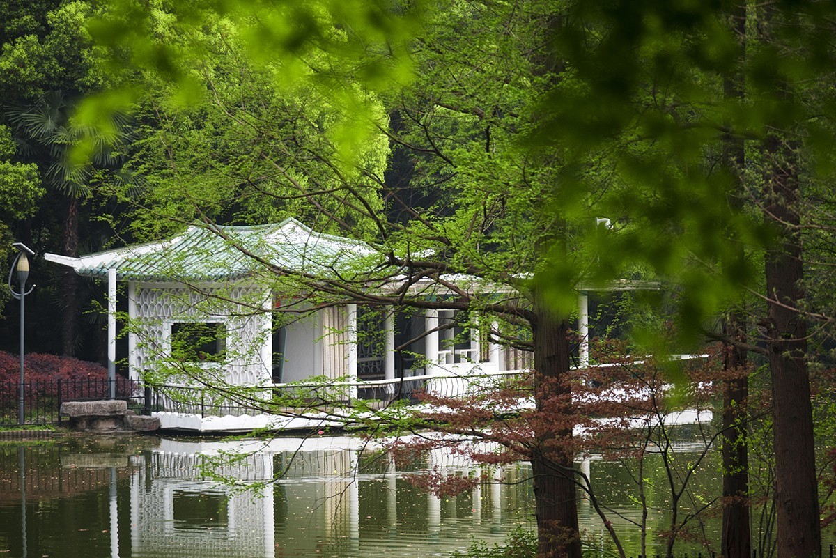 花园小景（一）
