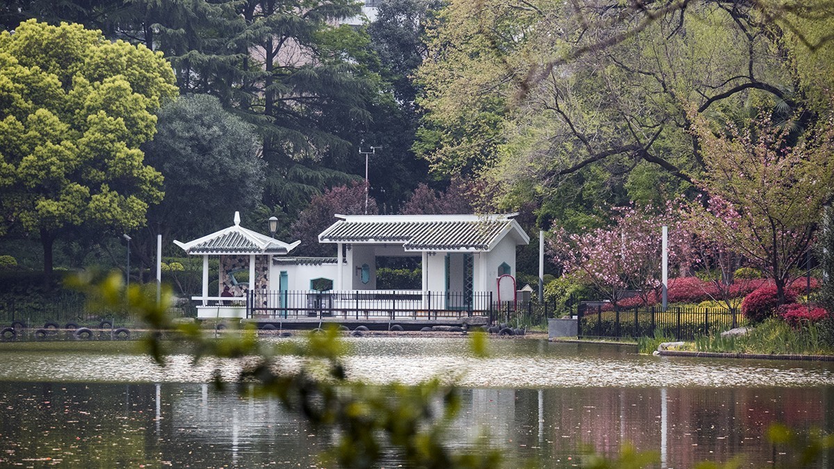 花园小景（一）