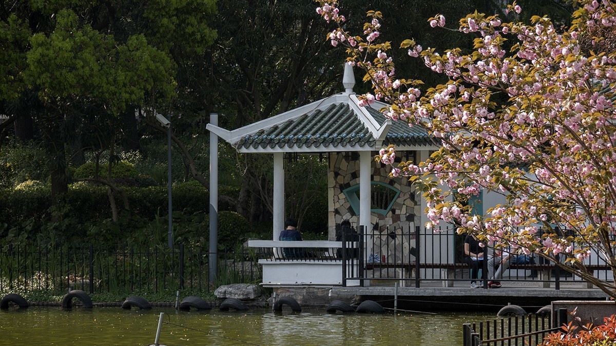 花园小景（一）
