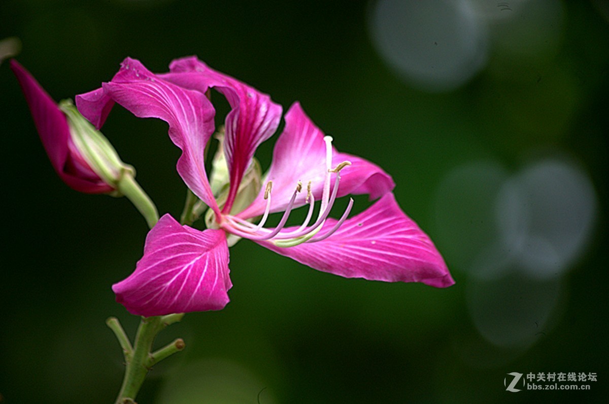 同一照片的对比，严重的波尔纹，望摄影们指点指点。