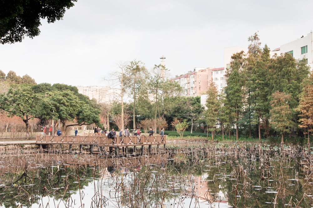 周末游流花湖公园