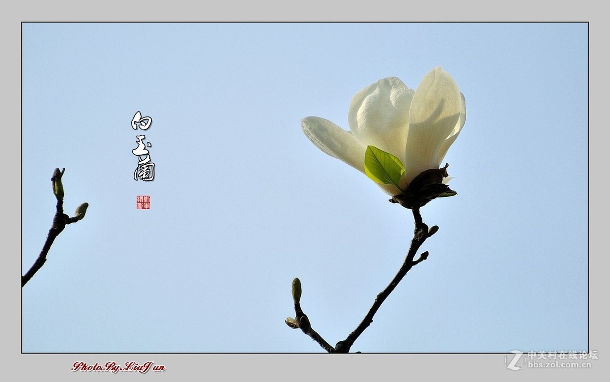 #版主坐堂#2017年1月份《承德》优秀作品选辑