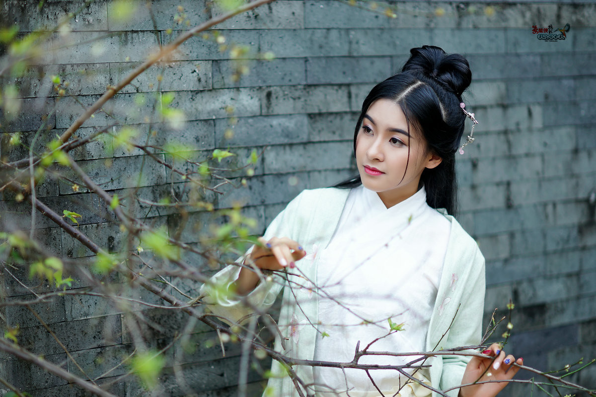 #版主坐堂#2017年1月份《承德》优秀作品选辑