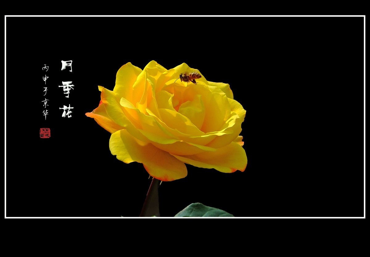 #版主坐堂#2017年1月份《承德》优秀作品选辑