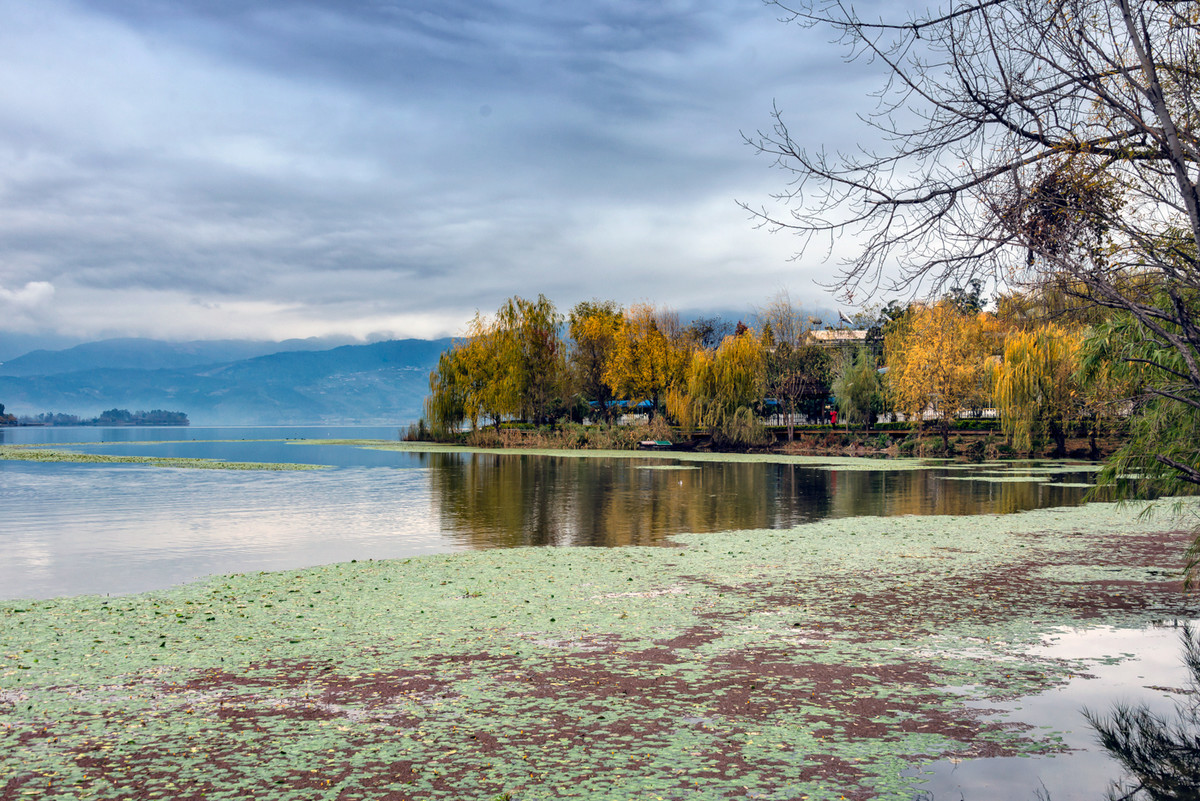 #版主坐堂#2017年1月份《承德》优秀作品选辑