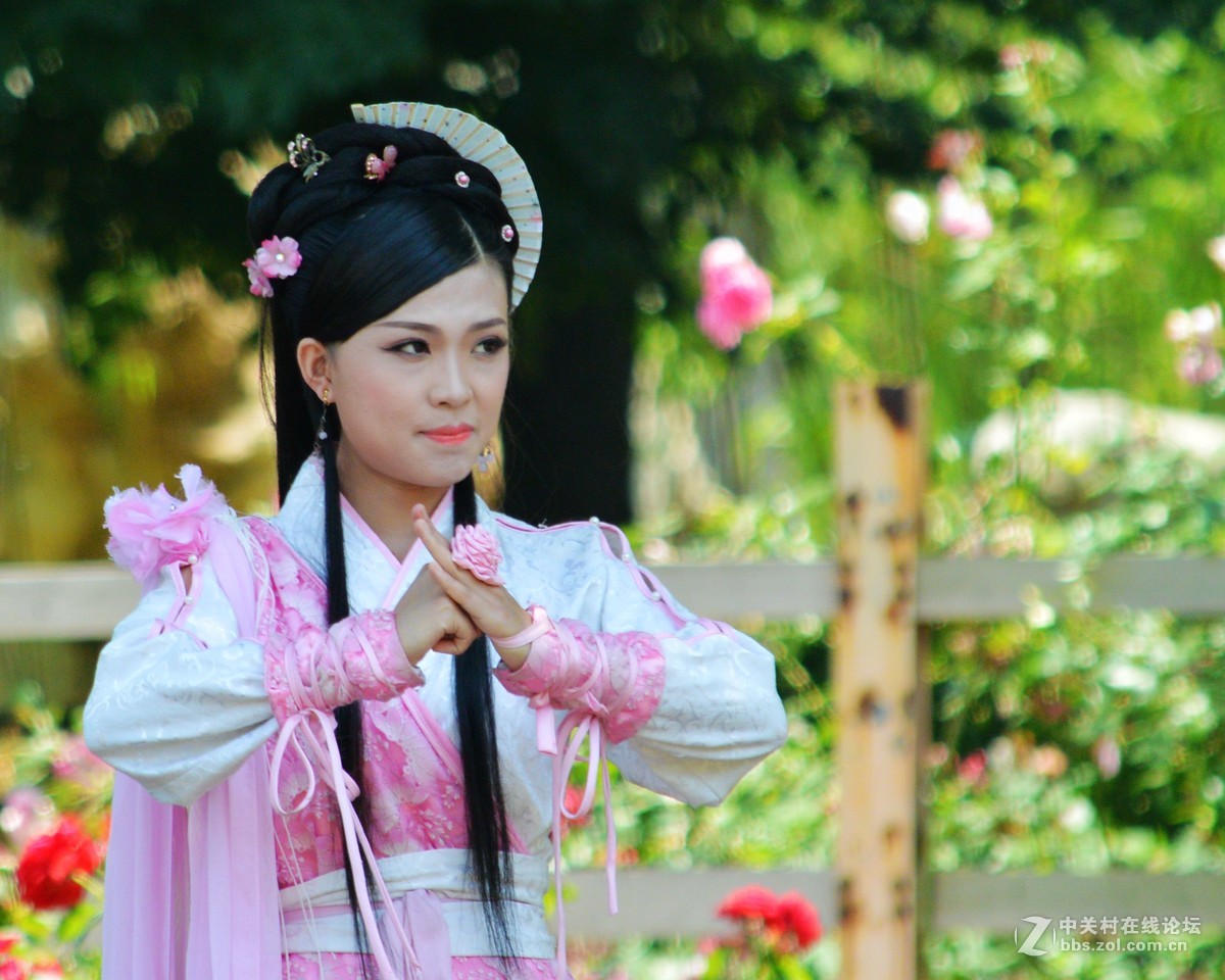 陶然亭月季园里的月季花