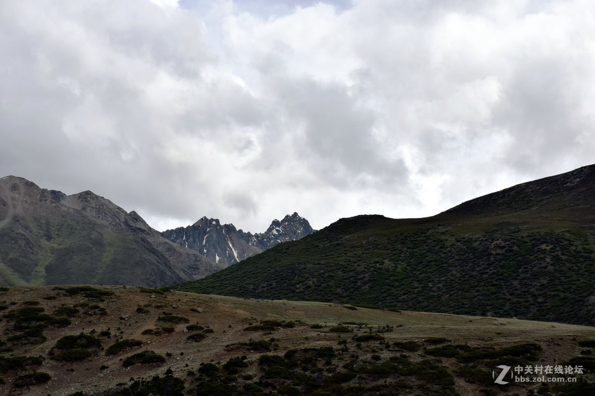 2018夏 川新藏（50）安久拉山