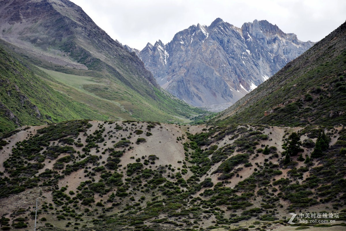 2018夏 川新藏（50）安久拉山