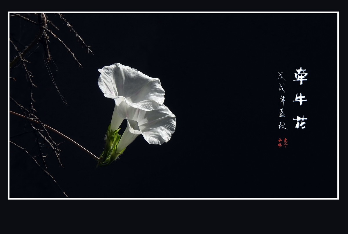 #版主坐堂#2018年9月份《承德》优秀作品选辑