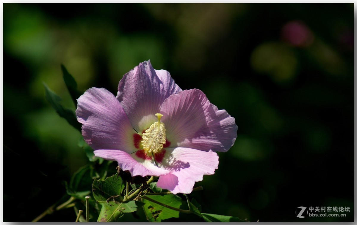 #版主坐堂#小五星空(中国)2018年九月精品荟萃