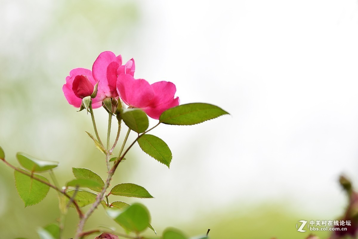 #版主坐堂#小五星空(中国)2018年九月精品荟萃