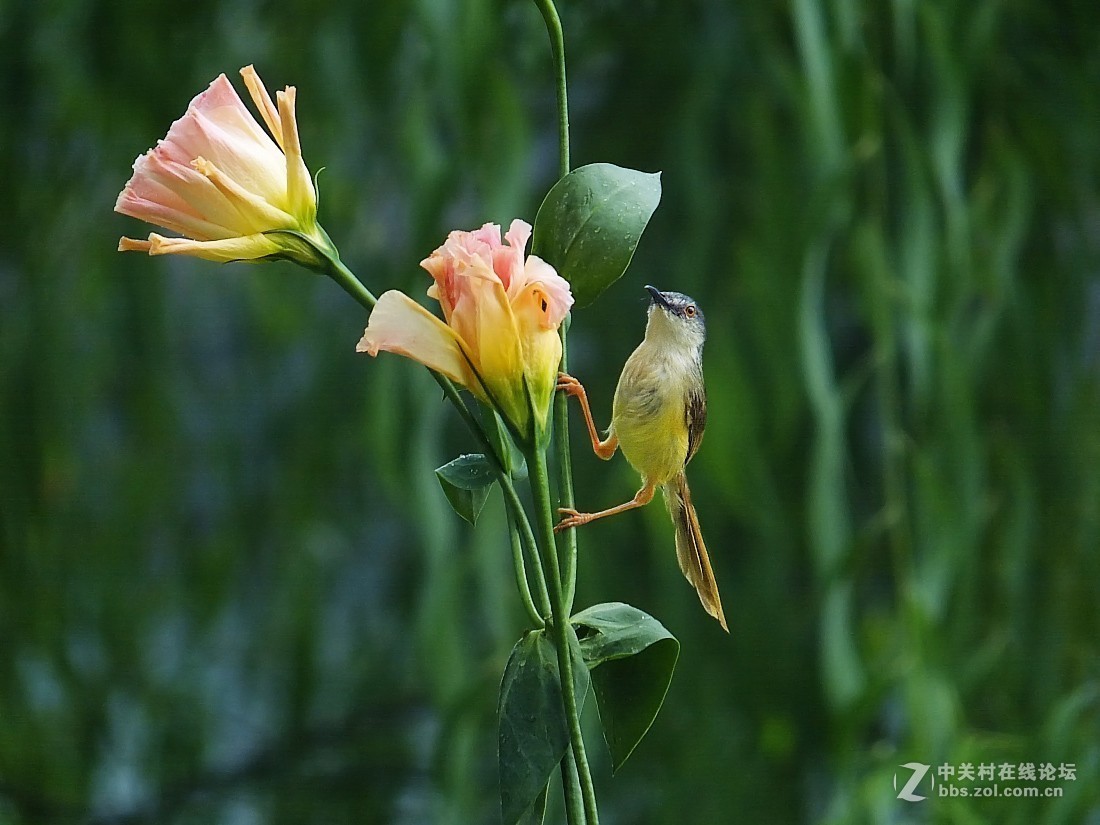 #版主坐堂#小五星空(中国)2018年九月精品荟萃