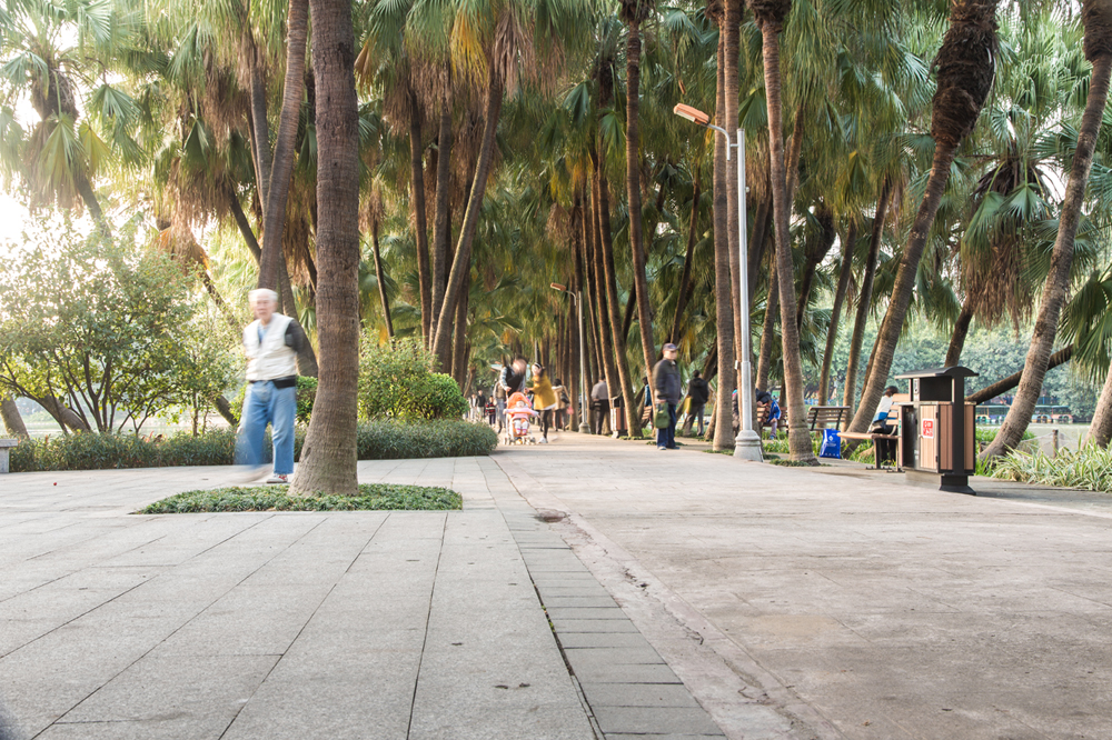 周末游流花湖公园