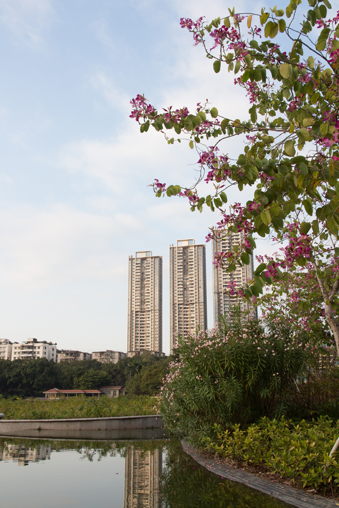 周末游流花湖公园