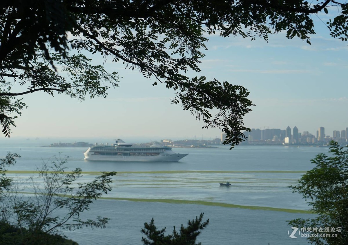 从薛家岛望青岛