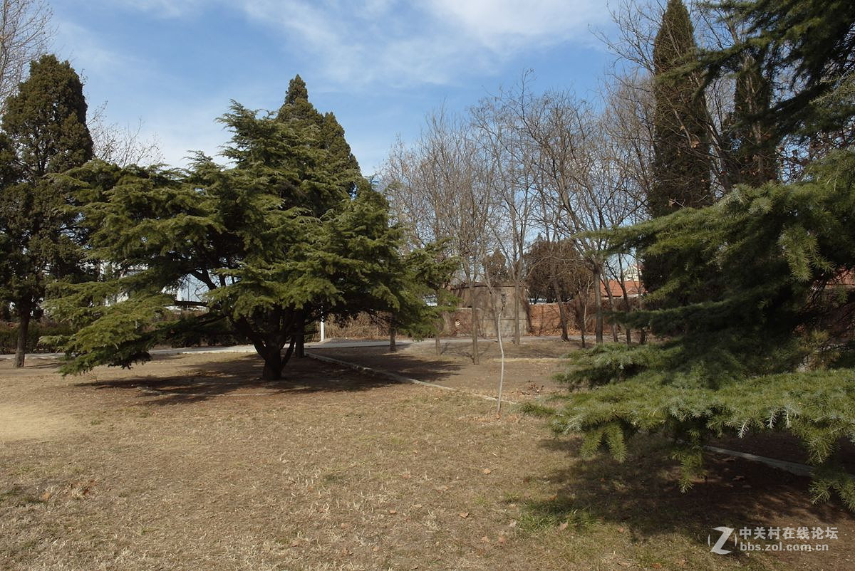 #版主坐堂#2017年1月份《承德》优秀作品选辑