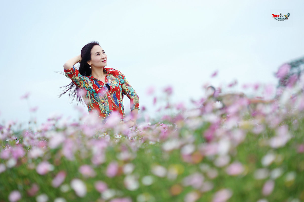 #版主坐堂#2017年1月份《承德》优秀作品选辑