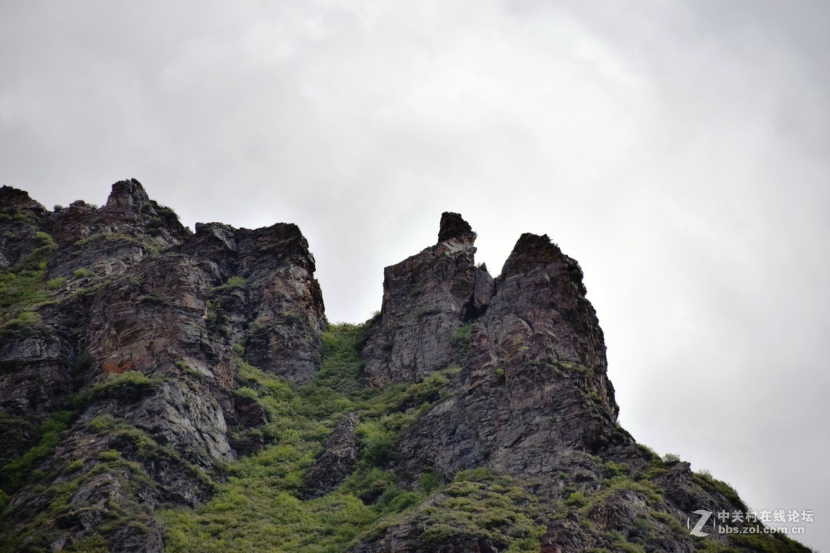 2018夏 川新藏（50）安久拉山