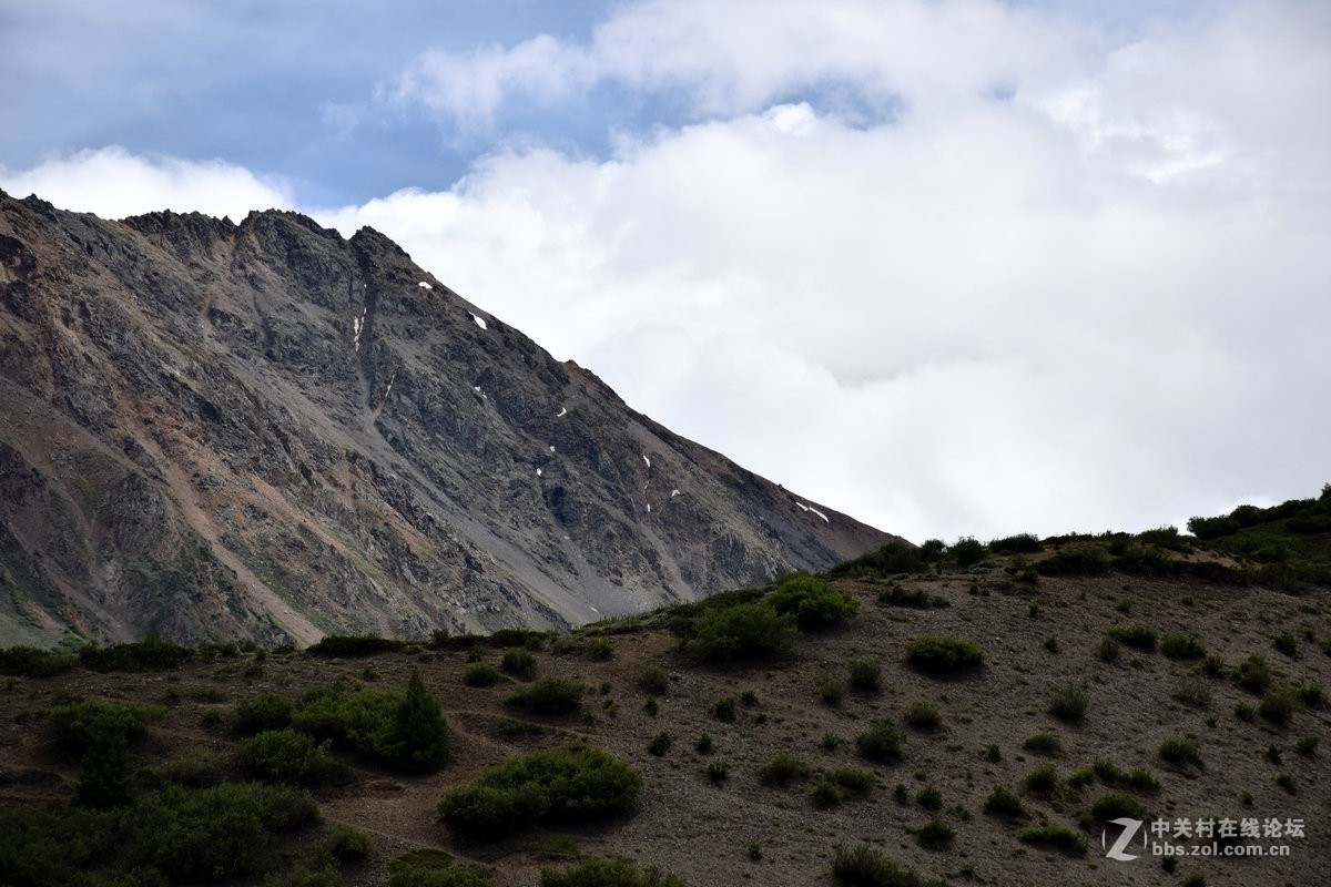 2018夏 川新藏（50）安久拉山