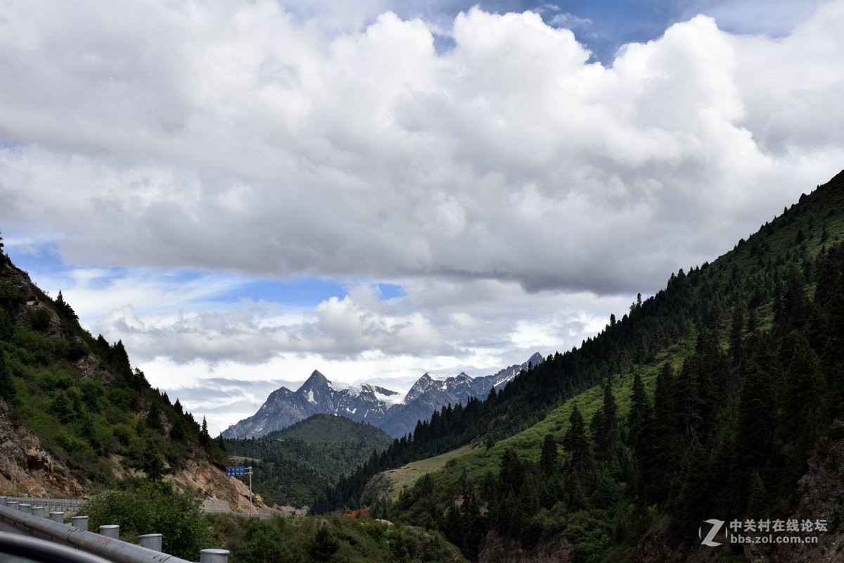 2018夏 川新藏（50）安久拉山