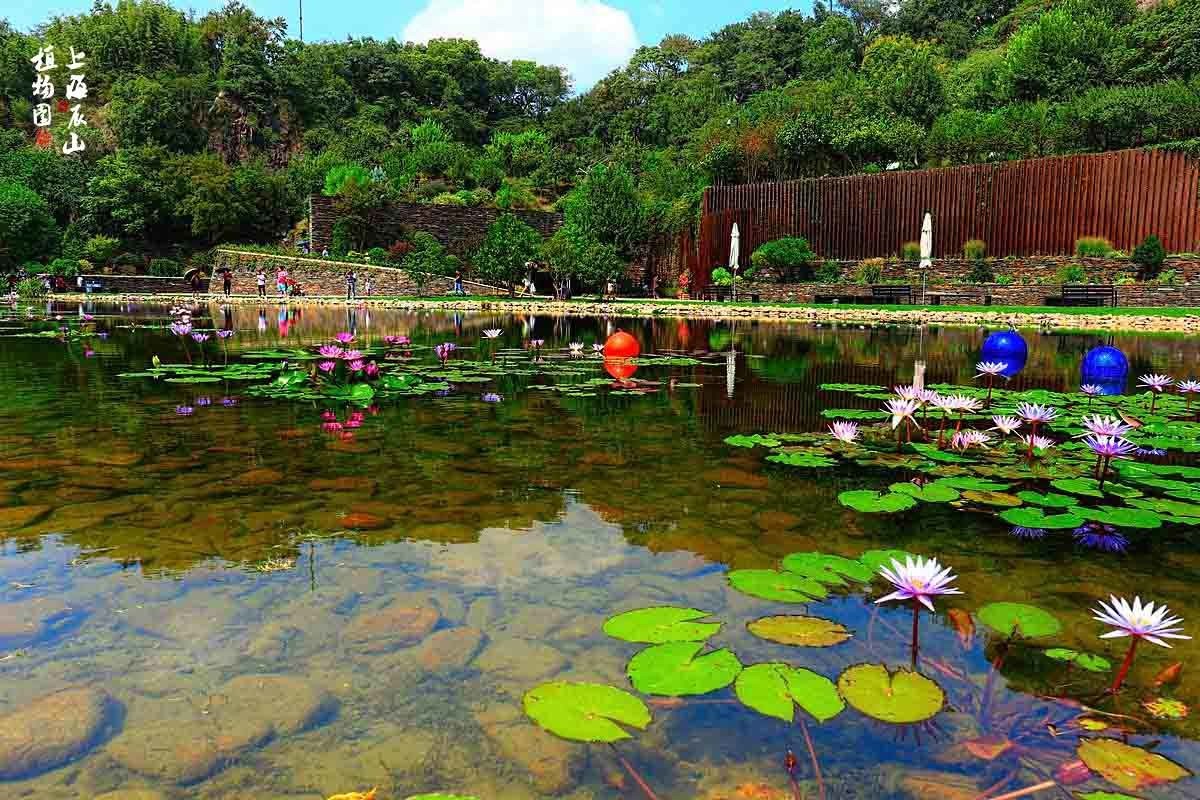 #版主坐堂#2018年9月份《承德》优秀作品选辑