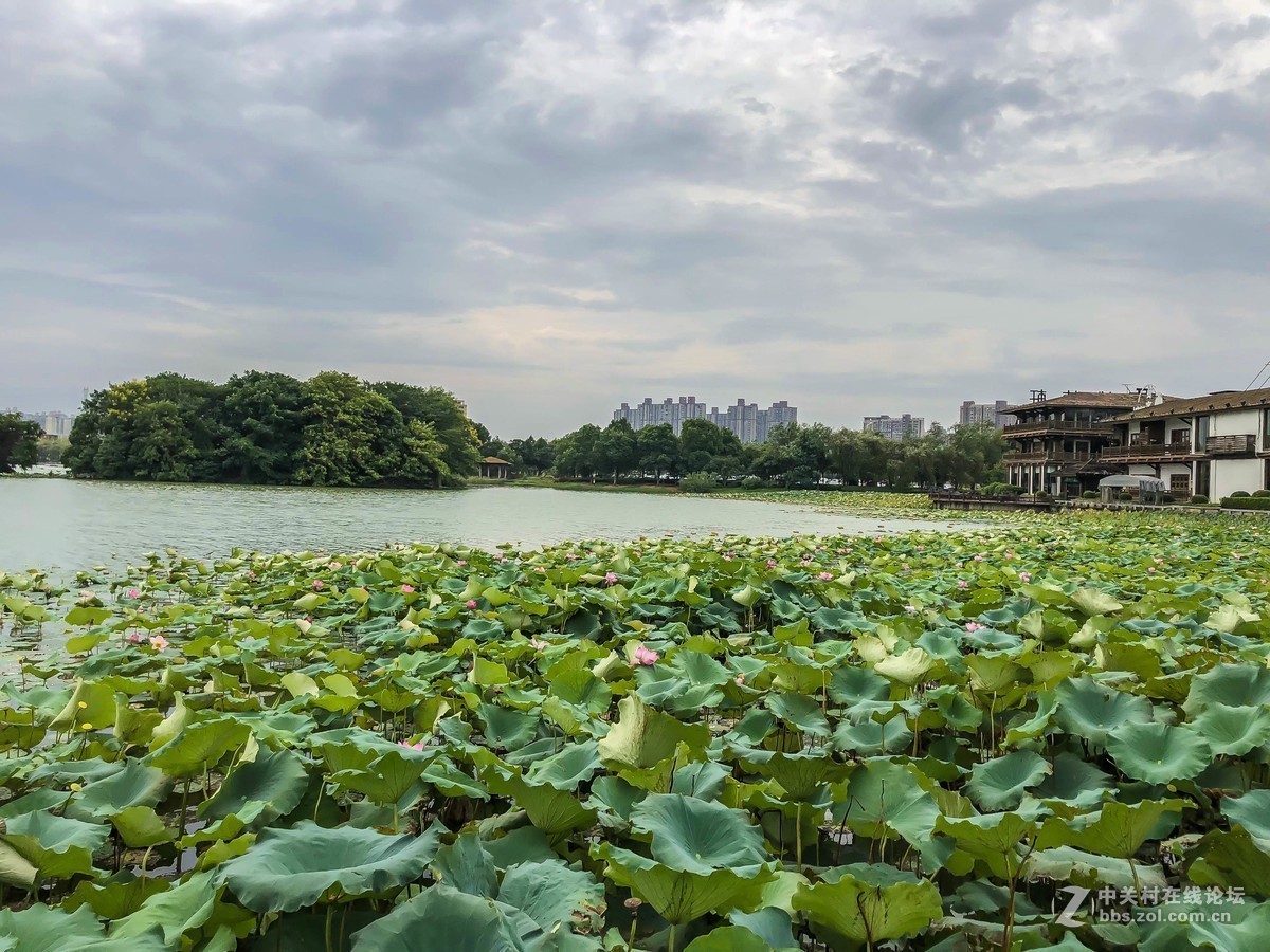 #版主坐堂#2018年9月份《承德》优秀作品选辑