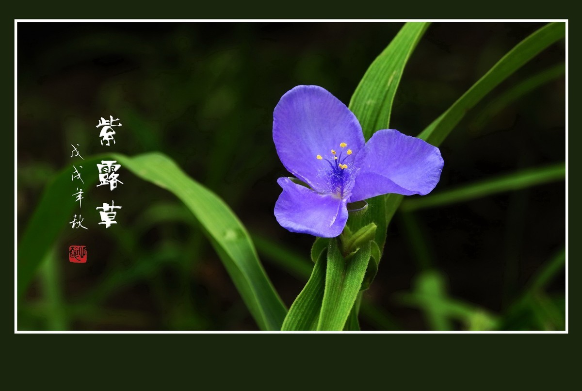 #版主坐堂#2018年9月份《承德》优秀作品选辑