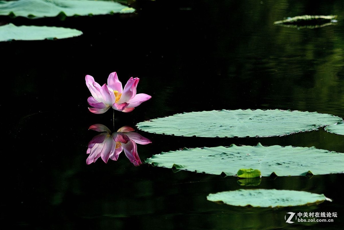 #版主坐堂#小五星空(中国)2018年九月精品荟萃
