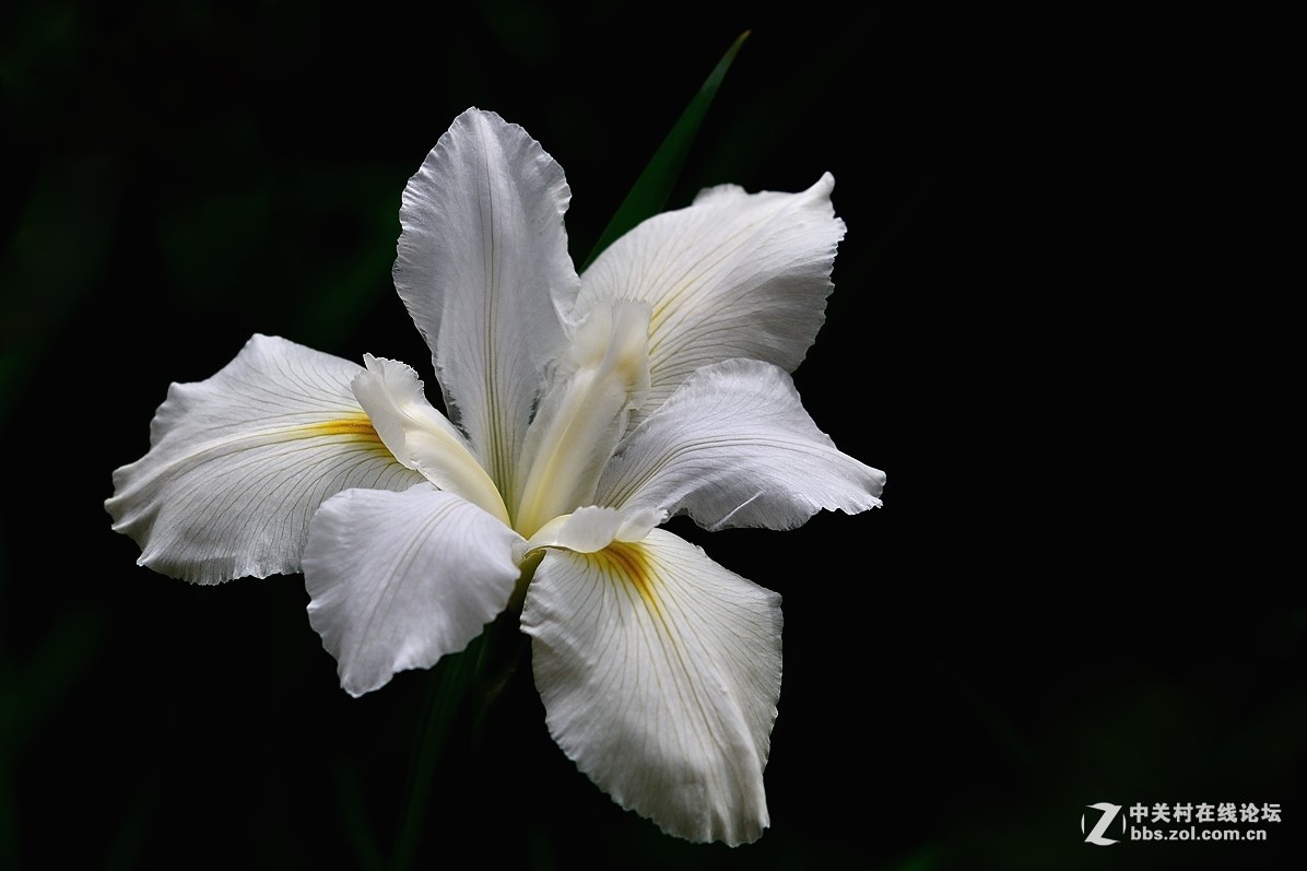 #版主坐堂#小五星空(中国)2018年九月精品荟萃