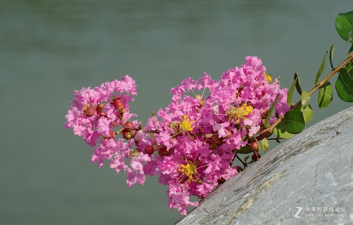 #版主坐堂#小五星空(中国)2018年九月精品荟萃