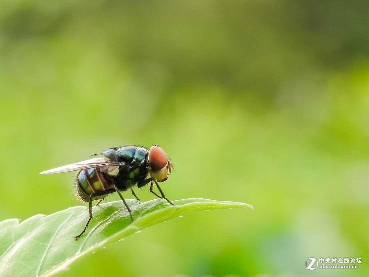 #版主坐堂#小五星空(中国)2018年九月精品荟萃