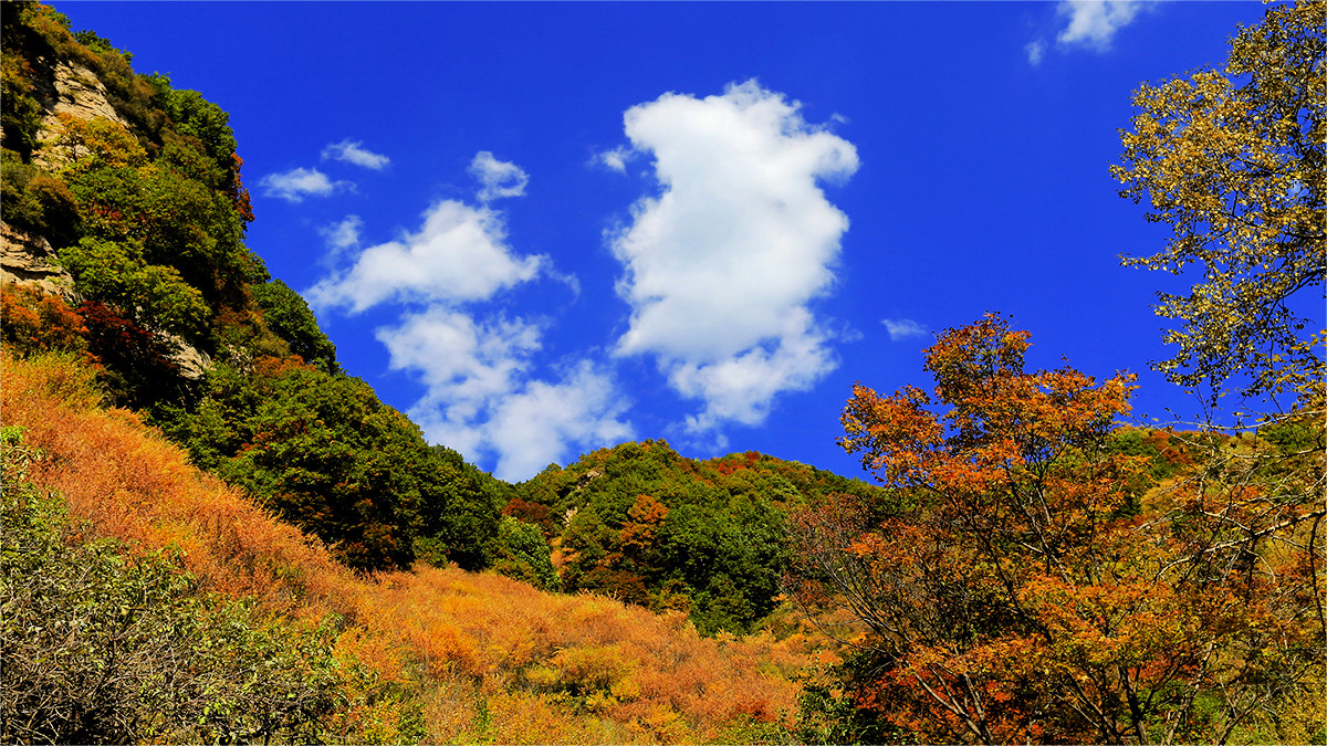 駝梁山秋色