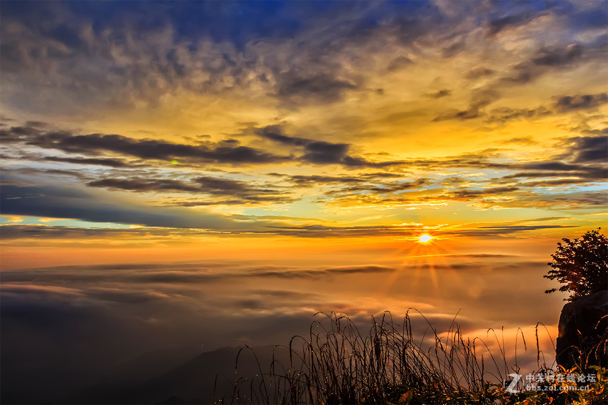 金色云海峨眉山