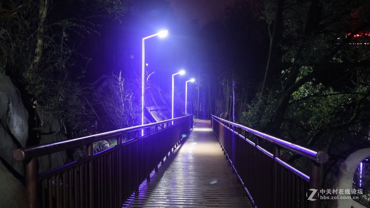 〈夜晚公园小景〉-中关村在线摄影论坛