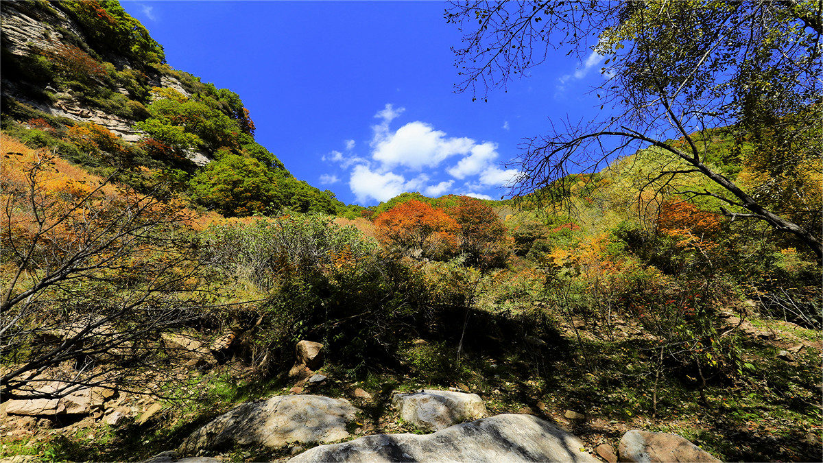 駝梁山秋色