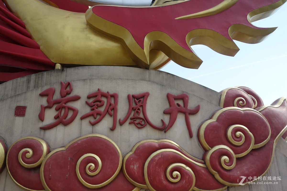 丹凤朝阳