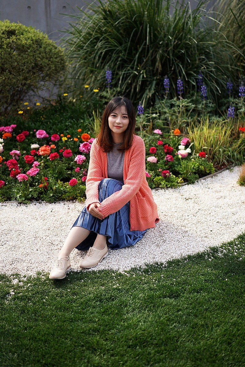 红红绿绿 花花草草