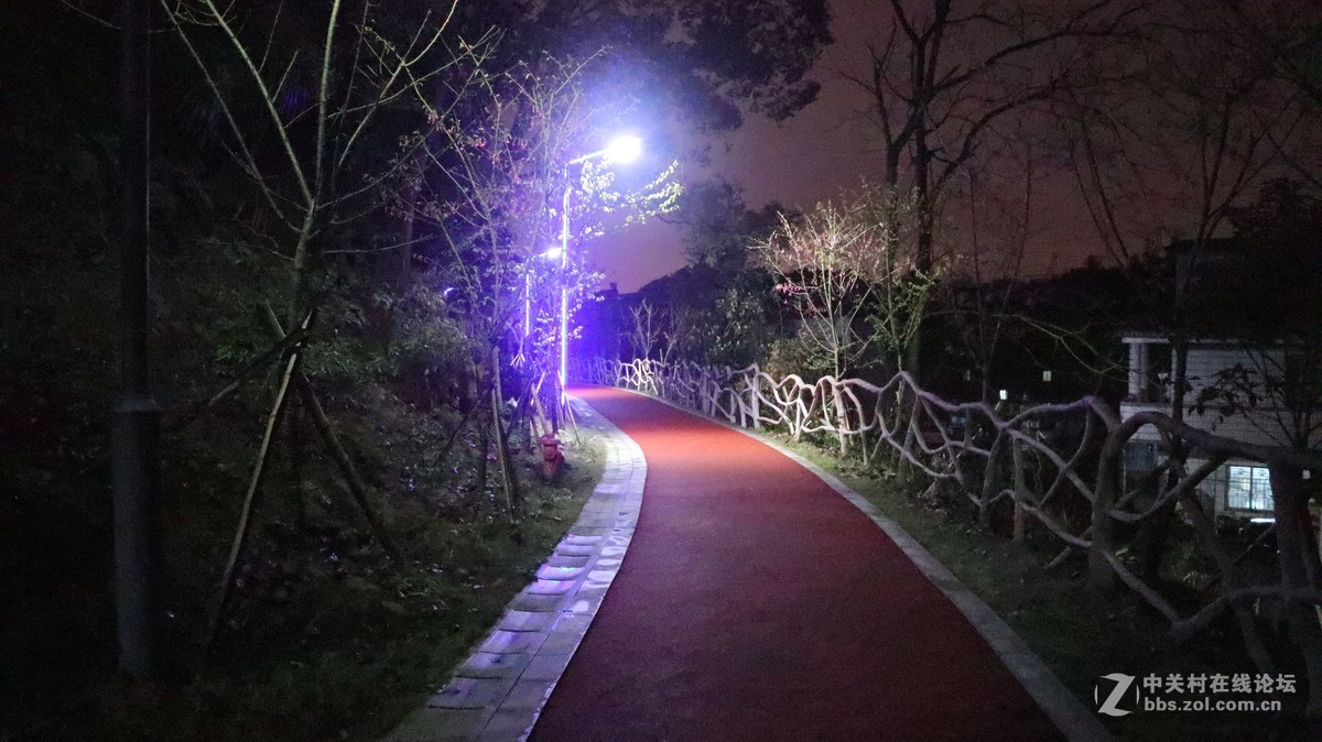 〈夜晚公园小景〉-中关村在线摄影论坛