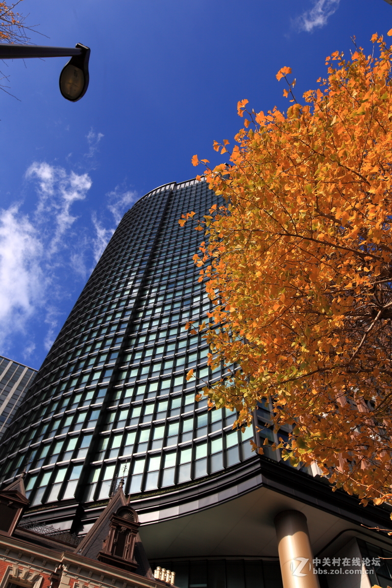 日本游随拍之一（东京街景）