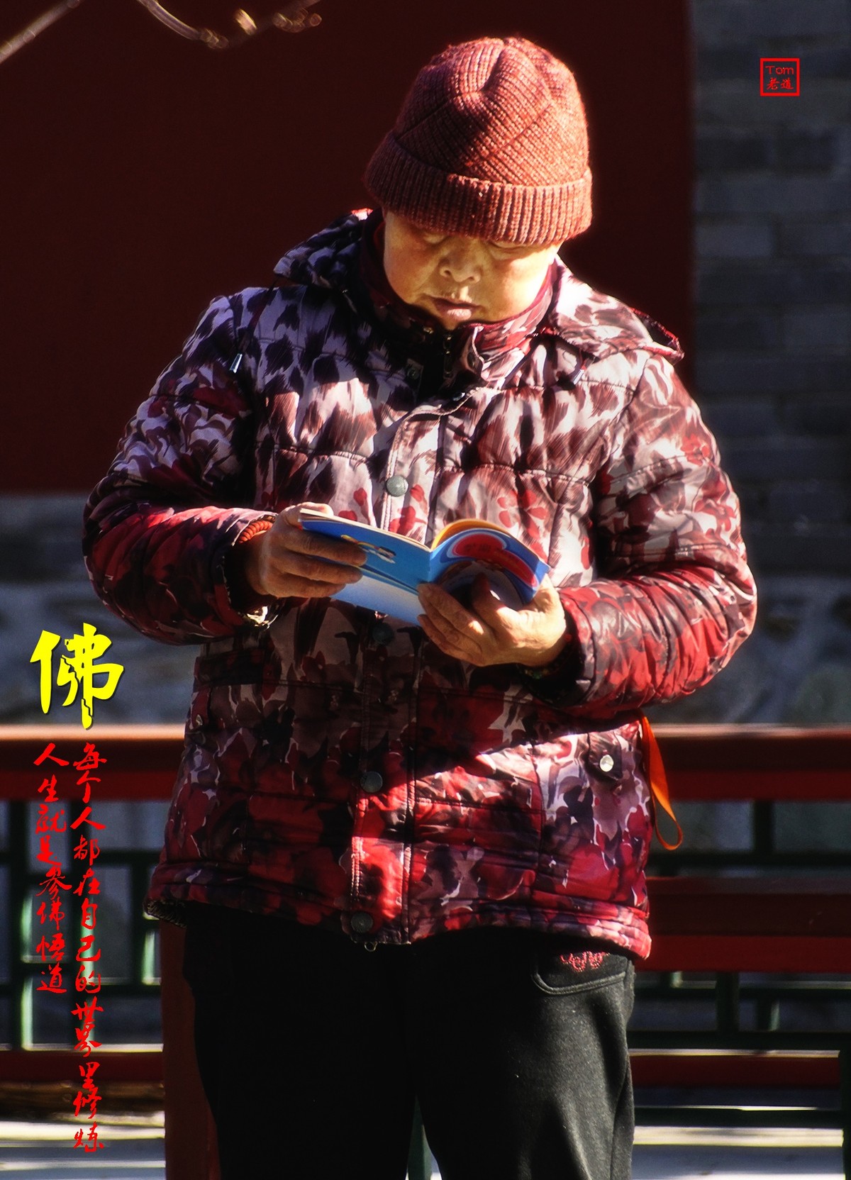 组图参佛悟道