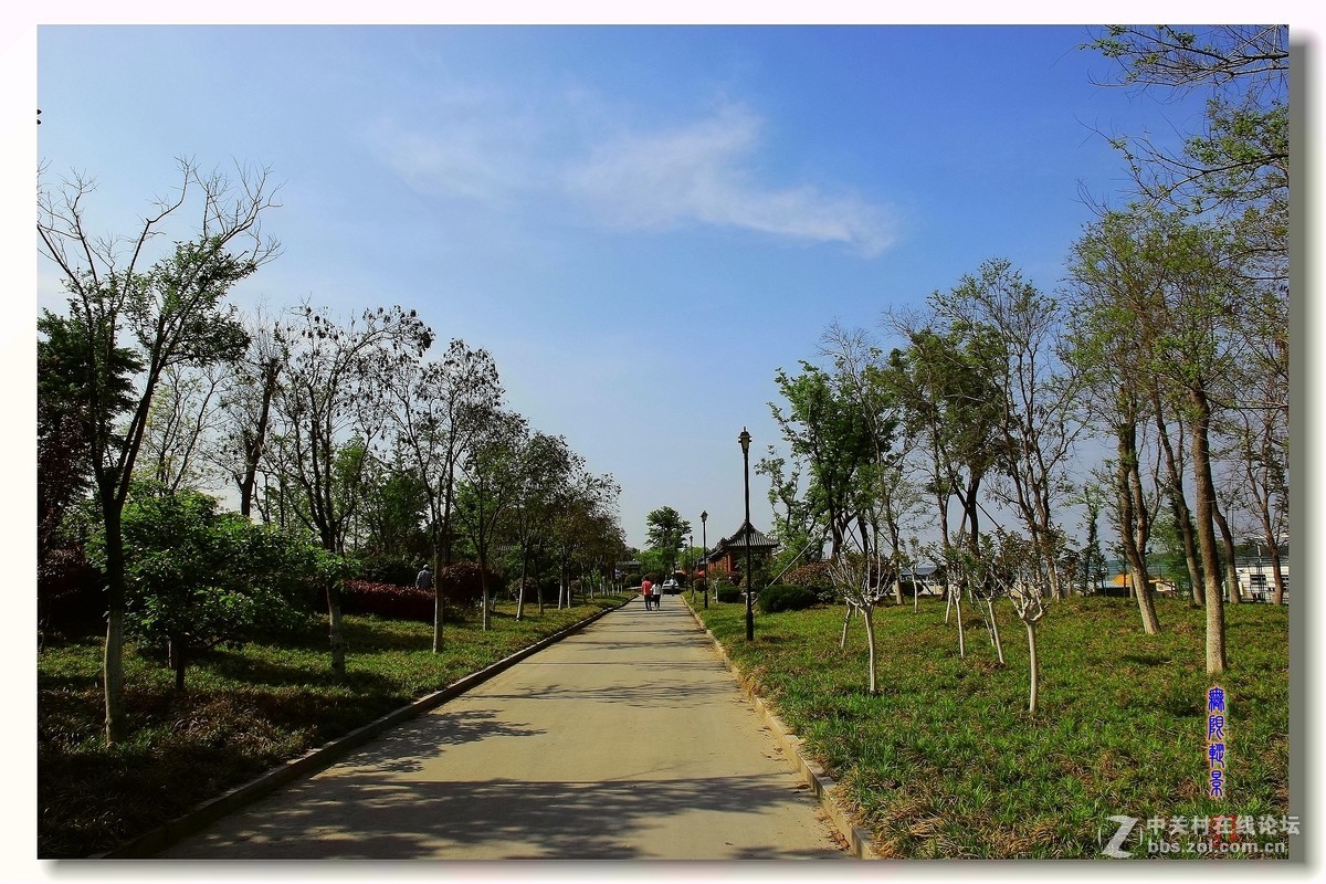 去沛县微山湖千岛湿地