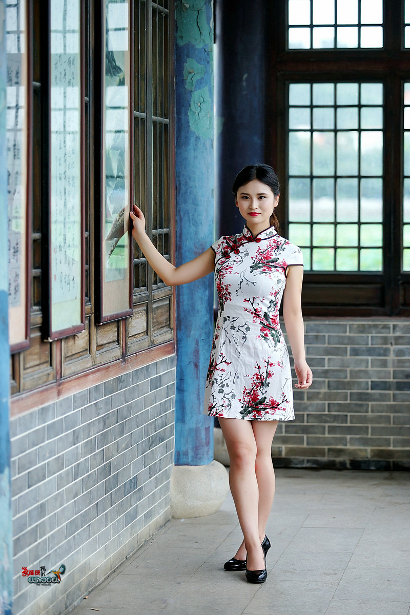 荷塘悦色旗袍少女言希续