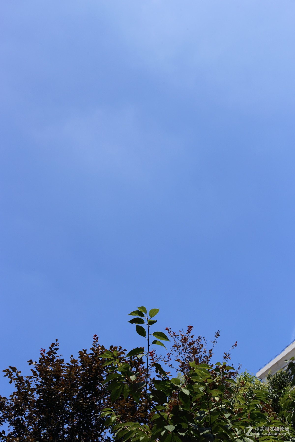 刚入手饼干试镜