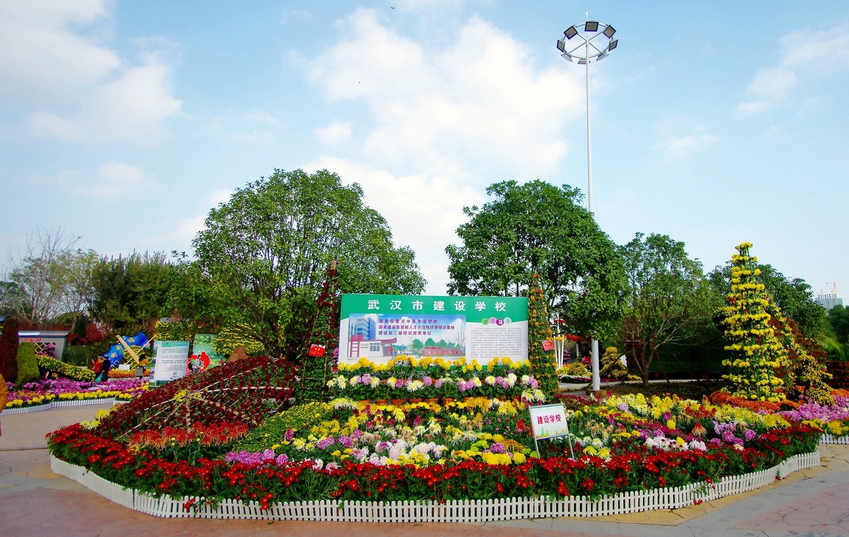 汉阳墨水湖公园街头金秋菊展！。。。。。