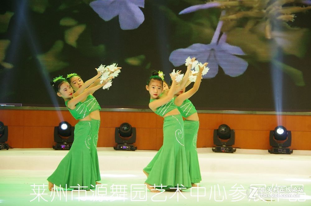 第三届全国好少年子优秀作品展演--------第二集