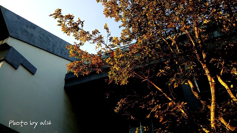 今天是你的生日，我的中国