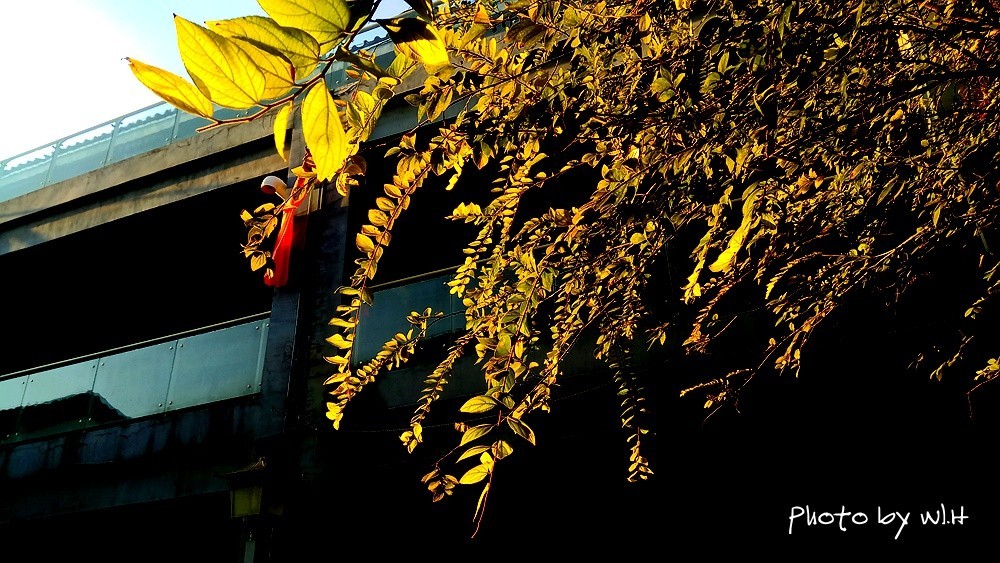 今天是你的生日，我的中国